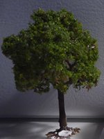 Løvtræ, mørk, ca. 55 mm