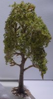 Løvtræ, lys, ca. 80 mm