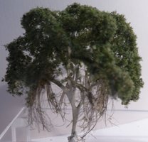 Baniantræ, ca. 70 mm
